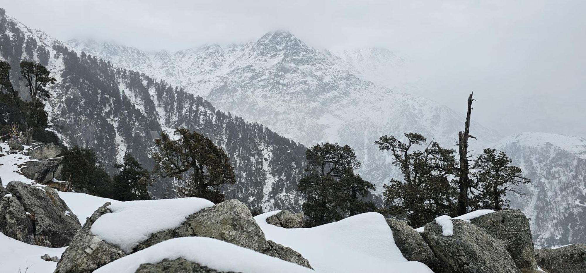 Hotel Starwud Kotagge McLeod Ganj Esterno foto